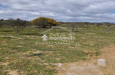 Un lot de terrain de 500 m² à vendre à 60 MD à Hammamet Sud 51355351