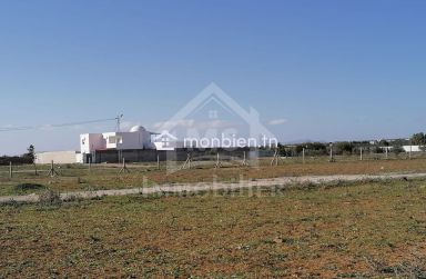 Terrain de 572 m² à vendre à 70 MD à Hammamet Sud 51355351