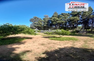 Ferme Rommana à Vendre à Sawnin, Ras Jbal, Bizerte