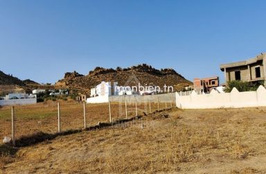 Terrain de 1000 m² à Hammamet Sud à vendre à 185 MD 51355351