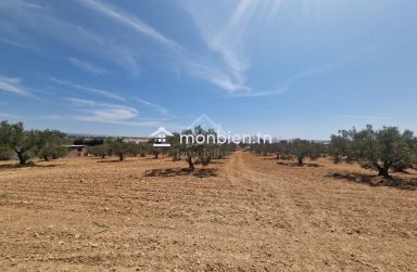 Terrain de 4018 m² à vendre à Hammamet Sud 51355351