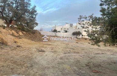 Terrain viabilisé de 600 m² à vendre à Hammamet 51355351