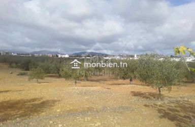 Terrain de 1000 m² à Hammamet Sud à vendre 51355351