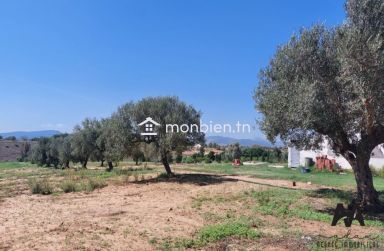 Terrain agricole de 71223m² à Mhadhba, Nabeul