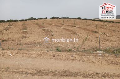 Terrain Agricole Jannah à Vendre à Teboursouk