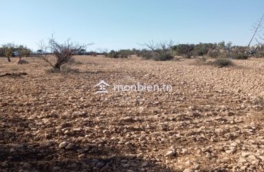 Terrain de 1282 m² à Hammamet Sud à vendre 51355351