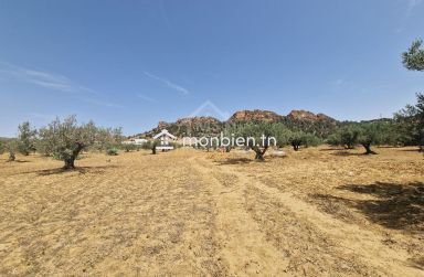 Lot de terrain de 200 m² à Hammamet Sud à vendre 51355351