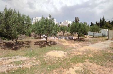 Terrain clôturé de 1122 m² à vendre à Hammamet Nord 51355351