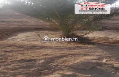 Terrain Agricole Abassisse à Vendre à Gafsa