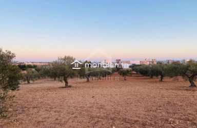 Terrain de 4018 m² à vendre à Hammamet Sud 51355351