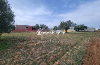 Terrain de 587 m² à vendre à 140 MD à Hammamet Sud 51355351