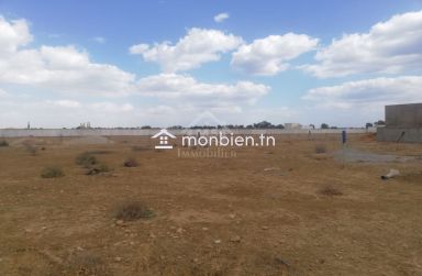 2 lots de terrain jumelés et clôturés à Hammamet Sud à vendre 51355351