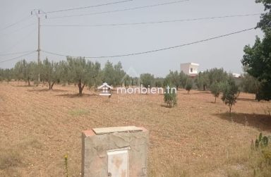 Terrain de 4800 m² à vendre à Sidi Mtir 51355351