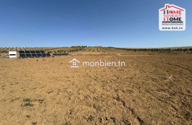 Ferme Saint-Martin à Vendre à Cebelet Ben Ammar