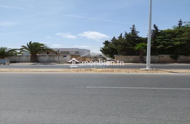 Terrain viabilisé de 600 m² à vendre à Hammamet 51355351