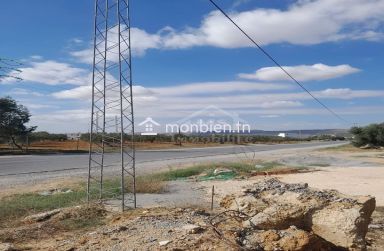 Lot de terrain de 200 m²  sur la route principale à Hammamet Sud à vendre 51355351