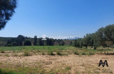 Terrain agricole de 71223m² à Mhadhba, Nabeul