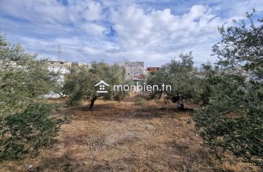 Terrain clôturé de 656 m² à Hammamet Nord à vendre 51355351