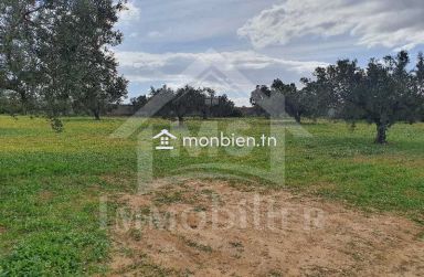 Terrain de 5042 m² à vendre à Hammamet Sud 51355351