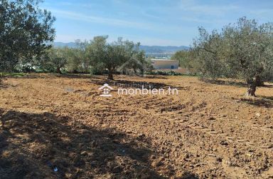 Un terrain de 1688 m² à vendre à Hammamet sud 51355351