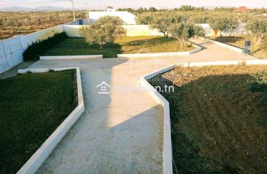 Un terrain de 2100 m² avec 1 studio à Hammamet Sud à vendre 51355351