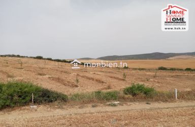 Terrain Agricole Jannah à Vendre à Teboursouk