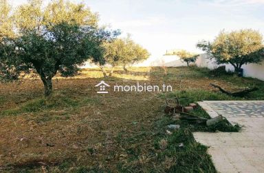 Un terrain de 2100 m² avec 1 studio à Hammamet Sud à vendre 51355351