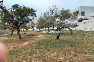 Terrain de 200 m² à Hammamet Nord à vendre 51355351