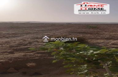 Terrain Agricole Abassisse à Vendre à Gafsa