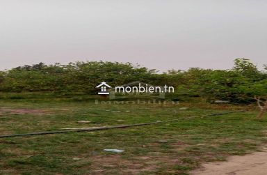 Lot de terrain de 200 m² à Hammamet Sud à vendre 51355351