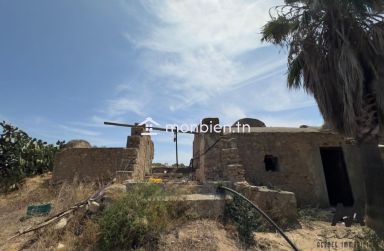 Terrain agricole de 57000m² à Boulidine Korba, Nabeul