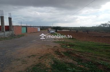 Un terrain de 200 m² à Hammamet Sud à vendre à 35 MD 51355351