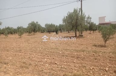 Terrain de 4800 m² à vendre à Sidi Mtir 51355351