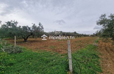 Terrain de 2740 m² à vendre à Hammamet Sud 51355351