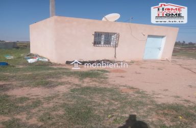 Terrain Agricole Aiinabi à Vendre à Gafsa