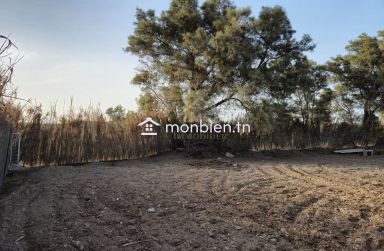 Terrain de 580 m² à Maamoura à vendre 51355351