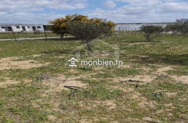 Un lot de terrain de 500 m² à vendre à 50 MD à Hammamet Sud 51355351