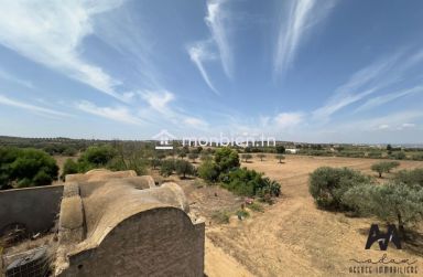 Terrain agricole de 57000m² à Boulidine Korba, Nabeul