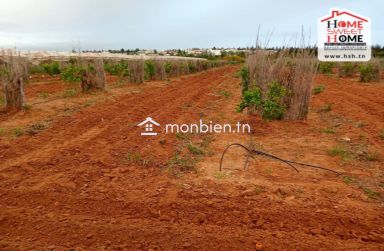 Terrain Agricole La Clairière des Pins à Vendre à Morneg