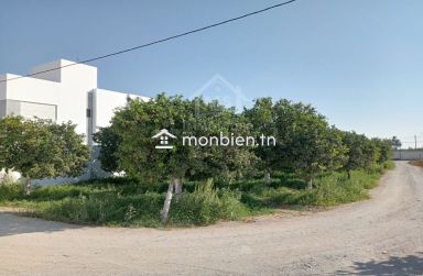 Terrain clôturé de 578 m² à vendre à Hammamet Sud 51355351