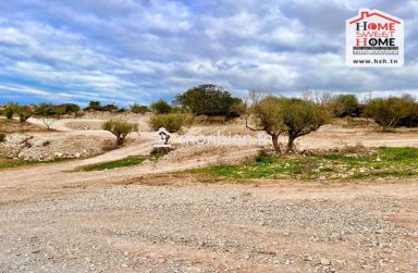 Terrain Villa Miled à Vendre à Borj Touil