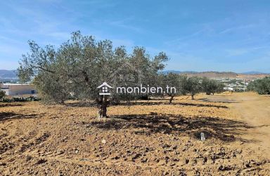 Un terrain de 1688 m² à vendre à Hammamet sud 51355351