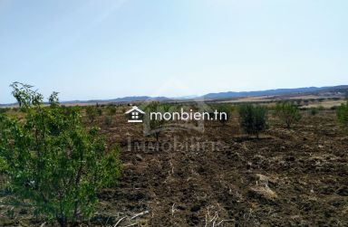 4 hectares ayant une vue de mer à vendre à Hammamet Sud 51355351