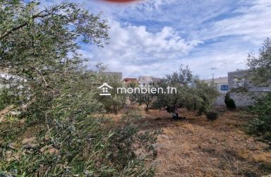 Terrain clôturé de 658 m² à Hammamet Nord à vendre 51355351