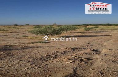 Terrain Agricole Louza à Vendre à EL Fajja Gafsa