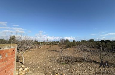 Terrain agricole de 2664m² à Dharoufa, Nabeul