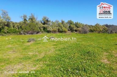 Immeuble EL Bakht à Vendre à La Marsa Ville