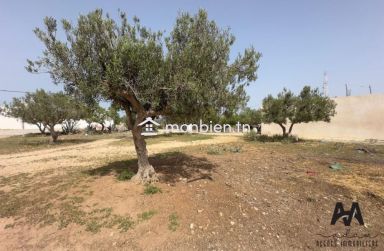 Terrain agricole de 2000m² avec eau et electricité Béni khiar, Nabeul