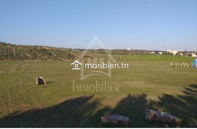 Terrain de 1000 m² à vendre à 85 MD à Hammamet Sud 51355351