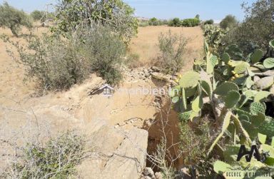 Terrain agricole de 57000m² à Boulidine Korba, Nabeul